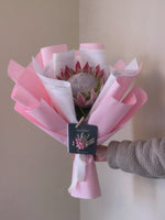 PROTEA KING