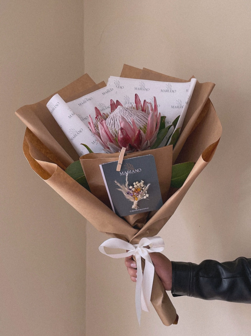 PROTEA KING